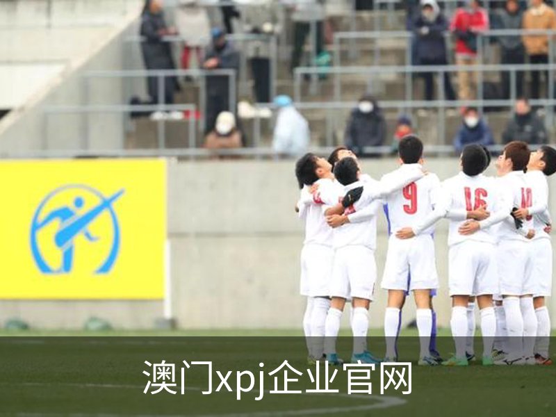 关于澳门xpj企业官网